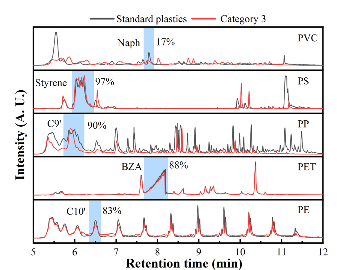 Mass spectrometry evidence of characteristic polymer structures