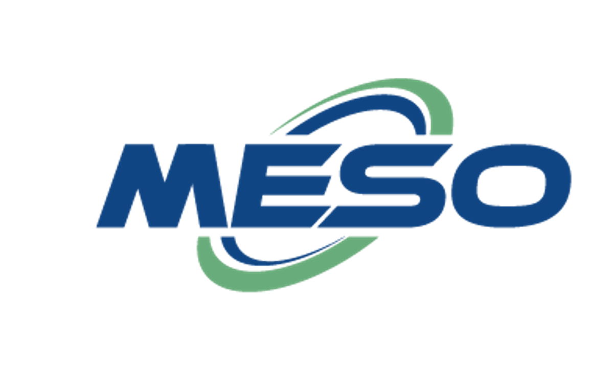 State Key Laboratory of Mesoscience and Engineering